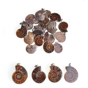 Collares con Colgante de Piedra de Amonita Natural para Mujer y Hombre, Estilo Vintage, Joyería de Moda Única para la Playa y Regalos de Cumpleaños - Product Image 2