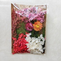 Grosir harga murah bingkai foto seni kuku DIY tas bahan bunga kering tas bunga kering alami asli untuk membuat lilin wangi