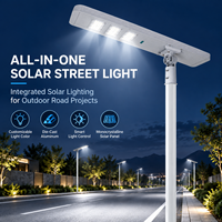 Lampadaire solaire tout-en-un Xiuben Professional pour les projets d'éclairage des routes municipales, des autoroutes rurales et des espaces publics