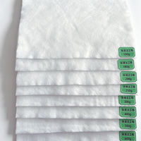 Geotextil de Filamento de Poliéster Continuo Spunbond de Alta Tenacidad para Uso Industrial, Ecológico y con Características Antienvejecimiento