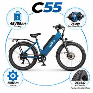 จักรยานบรรทุกไฟฟ้า C55 48V 55Ah 750W มอเตอร์ไร้แปรงถ่าน ยาง 26 นิ้ว แรงบิด 80 นิวตันเมตร จักรยานไฮบริดไฟฟ้า - Product Image 1