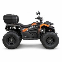 Quad tout-terrain 287CC 4x4, véhicule utilitaire deux places, moteur EFI refroidi par eau, suspension à double bras, UTV tout-terrain