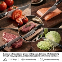 Couteau de Chef Professionnel en Acier Damas VG10 de Qualité Supérieure, Couteaux et Accessoires de Cuisine avec Manche en Bois