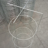 Tige de support des plantes en spirale, nouveau design, livraison gratuite