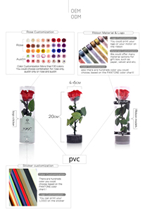 Aniversario de bodas Día DE LA MADRE Regalo del día de San Valentín Ramo Flor Etern Flor individual con ramas <span class=keywords><strong>Rosas</strong></span> preservadas - Product Image 5