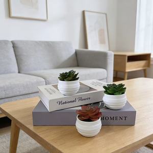 Plante succulente artificielle en pot, verdure artificielle pour la décoration intérieure de la maison, du bureau, du café, de l'hôtel - Product Image 2