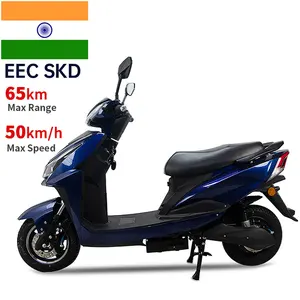 Cyclomoteur électrique indien en gros scooter électrique 2 personnes 600W/800W 40-50 km/h vitesse 45-65km d'autonomie scooter électrique 10 pouces
