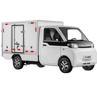 Mini voiture électrique intelligente à 4 roues pour adultes Nouveau petit véhicule électrique Véhicules à énergies nouvelles Voiture électrique pour le fret