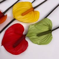 Konservierte Rote Anthurium-Flamingoblume Echte Natürliche Getrocknete Ewige Herzförmige Blume für Hochzeit Heim-Dekoration Geschenk