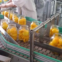 Lwt Fruit En Groente Verwerkingslijn Voedselverwerkingsmachine Ingeblikt Fruit Groente Huisdiervoer Plastic Krat Reinigingsmachine