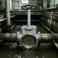 Vanne à opercule SS304 DN50-DN600 à tige montante, commande manuelle, PN10, pour conduites industrielles d'eau et d'eaux usées