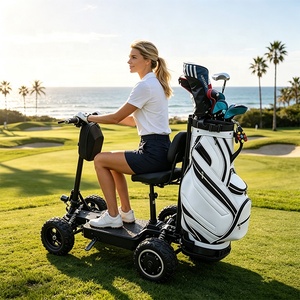 Foldable E <b>Scooter</b> 36V 48V <b>4</b> <b>Wheel</b> Adult Folding <b>Mobility</b> Golf Cart <b>Scooter</b> with Seat - Product Image 6