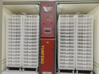 Incubateur d'œufs automatique électrique Yunfeng YFDC-96SL, incubateur à une seule étape, capacité de 9600 œufs, incubateur pour volailles d'élevage