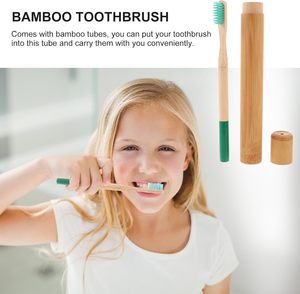 Best Selling <b>Disposable</b> Foldable Eco Friendly Biodegradable for <b>Toothbrush</b> Hotel Travel Home Use Multicolored Soft Bristles - Product Image 4