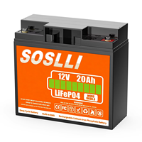 Batterie LiFePO4 12V 20Ah à décharge profonde pour ouvre-porte solaire, caméra de vidéosurveillance, système de sécurité, alimentation de secours UPS, alarme domestique, détecteur de mouvement solaire