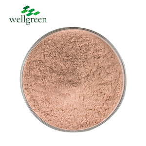 Vente en gros de poudre de fruit de prune <span class=keywords><strong>séchée</strong></span> poudre de prune <span class=keywords><strong>séchée</strong></span> en usine - Product Image 3
