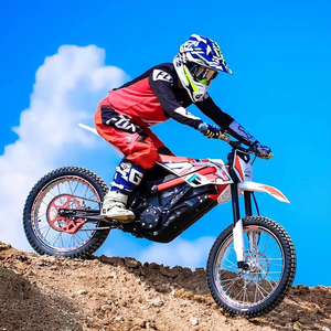 Moto électrique pour adultes <span class=keywords><strong>APOLLO</strong></span> RFN Ares Rally Pro 74V 35Ah, moteur central sans balais, batterie lithium, moto tout-terrain, course hors route - Product Image 4