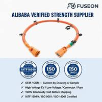 Harness Sensor Sistem Manajemen Baterai (BMS) yang Dapat Disesuaikan, Kabel Pengambil Sampel Baterai Lithium, Kabel Sinyal Penyimpanan Energi