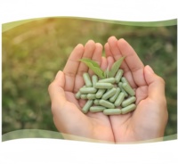 Capsules certifiées Offre Spéciale GMP Capsules de pilules végétales vides HPMC à base de plantes Capsules organiques