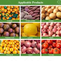 Kwaliteitsselectie- en sorteermachine voor walnoten, peper, aardbeien, citrusvruchten, fruitgrootteclassificatie, 5 ton/uur was- en sorteerapparaat