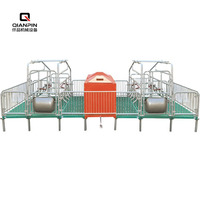 Nouvelle Offre Spéciale : Équipement d'Élevage Porcin – Cage de Maternité Double en Acier Galvanisé pour 2 Truies + 30 Porcelets, 3.8x2.2m, Usage Agricole