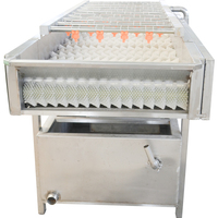 304 Roestvrijstalen Jujube Diverse 300Kg Fruit Groente Wassen Verwerking Hogedruk Spray Roller Reinigingsmachine