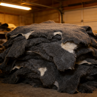 Peau de mouton bouclée en vente, fourrure naturelle pour vêtements, gants, bottes, rembourrage et décoration