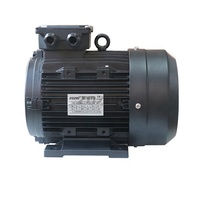 Moteur électrique à arbre creux de 5,5 kW, arbre femelle pour Interpump