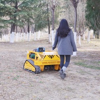 Tondeuse RC à essence Garden Engineering, moteur puissant 4 temps, sans câblage, tondeuse à fléaux tout-terrain