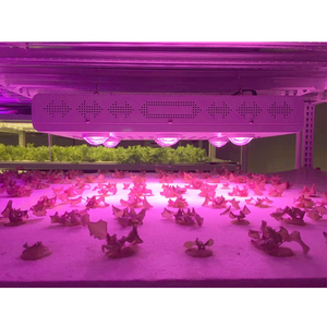 Lampe de culture LED COB en aluminium, spectre complet, 750W, haute puissance, pour la croissance des plantes, systèmes hydroponiques, IP65, dimmable - Product Image 6