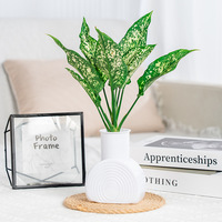 Vase à fleurs décoratif rond en plastique transparent pour plantes hydroponiques, pour la maison ou le bureau