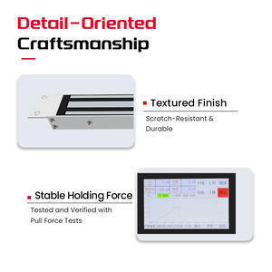 Serratura magnetica da incasso a <span class=keywords><strong>2</strong></span> fili porta in metallo serratura elettromagnetica impermeabile serratura magnetica esterna - Product Image 3