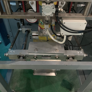 Macchina per il Confezionamento di Sale Marino da 200g a 1kg / Macchina per l'Imballaggio e la Stampa di Sale Iodato a Prezzo di Fabbrica - Product Image 6