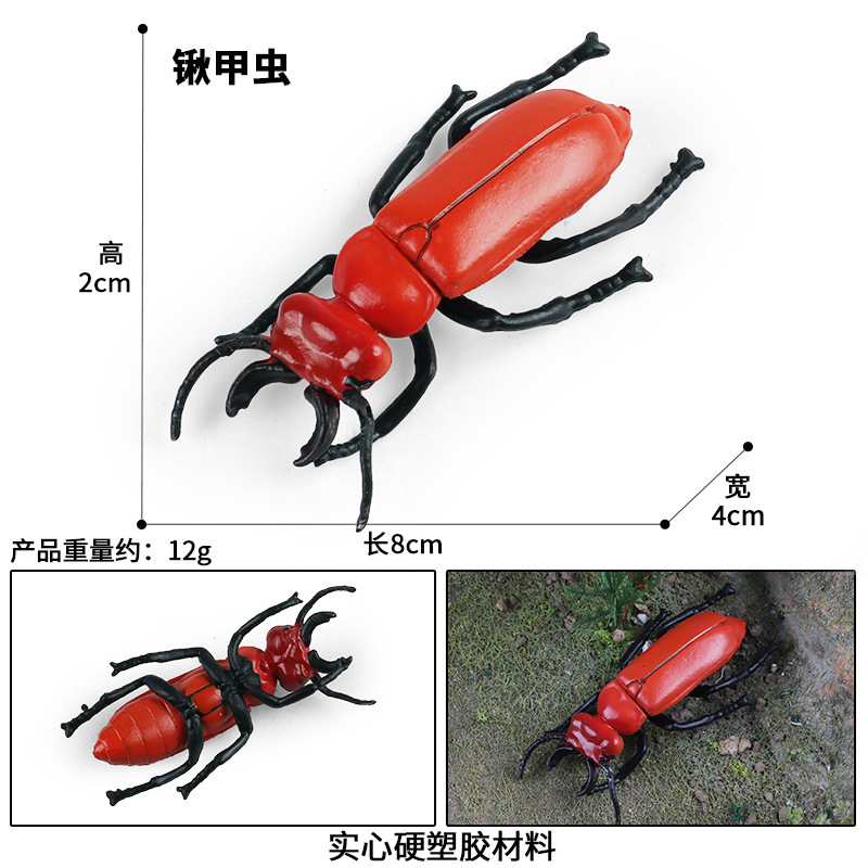 ด้วงเขากวาง M-2713 สีสันสดใส