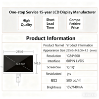 10,1-Zoll 1024x600 TFT Farb-LCD-Bildschirm