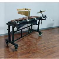 The Orchestra Plays the Marching Xylophone Marimba (excluding Other Percussion Instruments)