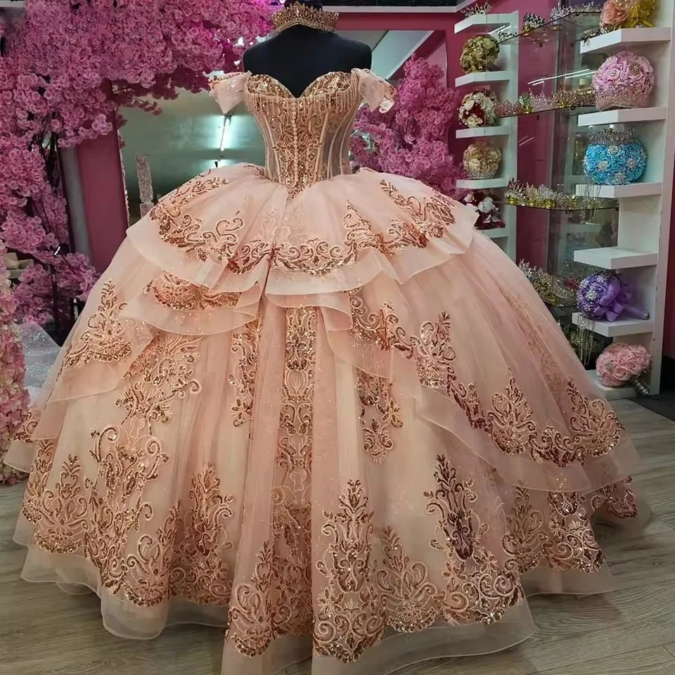 customized dresses Custom Gowns  Daci Gowns Fantasy Prom Dresses Corset Illusion Top 3D Floral Appliques Off Shoulder A Mumuleo 2026 Customized Coral Quinceanera
