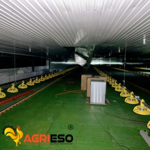 Agrieso Mangeoire automatique pour poulets 20 oiseaux Système d'alimentation par le sol Équipement pour poulets de chair Agri <span class=keywords><strong>Twin</strong></span> Boîte d'alimentation - Product Image 1