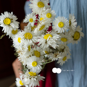 Estate Flora commercio all'ingrosso decorativo naturale fiori secchi Senza Tempo rosa fiorista forniture per la decorazione domestica - Product Image 3