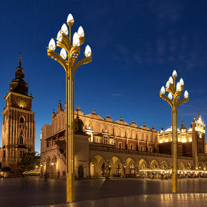 Illuminazione esterna lampada a LED magnolia cinese comunale piazza paesaggio progetti costruzione strada strada strada luce - Product Image 3