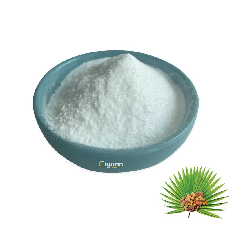 ISO Manufacturer Supply Saw Palmetto Extract Saw Palmetto Fruit Powder Total Fatty Acids 25%45% 80%
