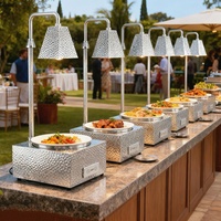 Huadison Autres fournitures d'hôtel et de restaurant Lampe chauffante infrarouge portable en acier inoxydable Lampe chauffante électrique pour aliments Buffet