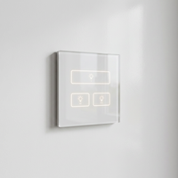 Customized 1.5mm Switch Tempered Glass Light Switch Touch Panel Glass,Electrical Wall Switches Glass Panel