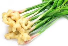 Pasokan kapsul ekstrak jahe bubuk gingol ekstrak jahe kualitas tinggi pabrik - Product Image 4