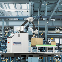 Robot Penumpuk Otomatis untuk Memindahkan Kotak Kayu Harga Murah Efisien Robot Palletizer untuk Kotak Karton Mesin Palletizing