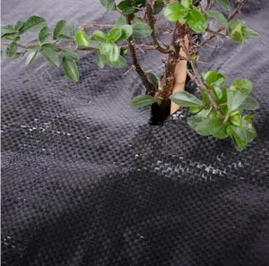 Tapete de erva daninha de plástico agrícola, cobertura de tecido híy anti grama para ervas daninhas