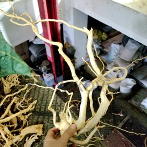 30-60Cm <span class=keywords><strong>Aquarium</strong></span> Accessoires Natuurlijke Drijfhout <span class=keywords><strong>Log</strong></span> - Product Image 4