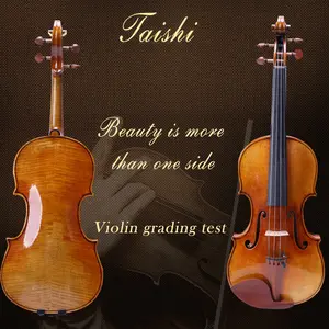 4/4 Profession elle Geige Hand gefertigt S3000 Europäisches Holz Hochpräzise Qualität viele Arten von Geige in Sonder anfertigung