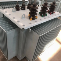 Transformateur de distribution de puissance triphasé à bain d'huile S11 800 KVA 11/0,4 kV 50 Hz