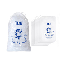 Sac à glace en plastique transparent personnalisé de qualité alimentaire 8 lb 10 lb 20 lb réutilisable en PP avec cordon de serrage pour l'emballage au congélateur